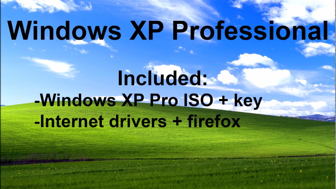 video driver for xp download